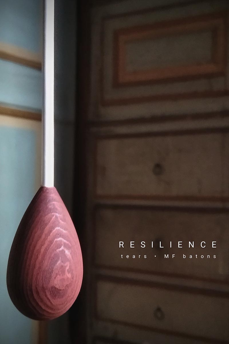 _0003_RESILIENCE cover